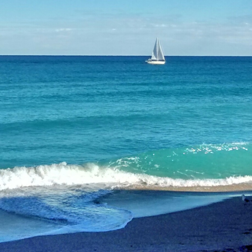 Briefs, Trunks, Bathing Suits,